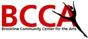 BCCA Summer Camp Coordinator